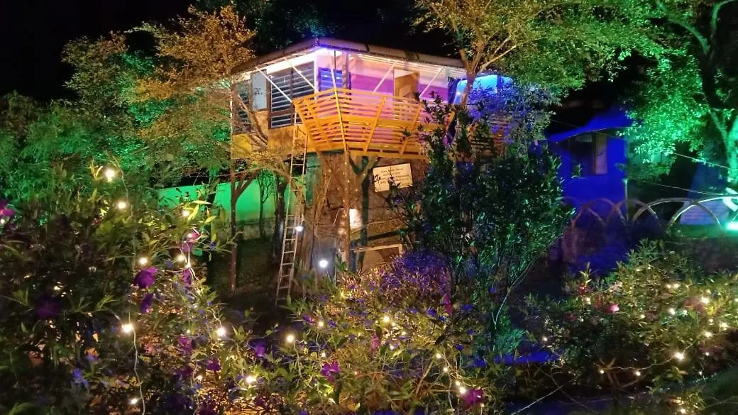 Hotel Treehouse Tabor Hills Resort Vagamon
