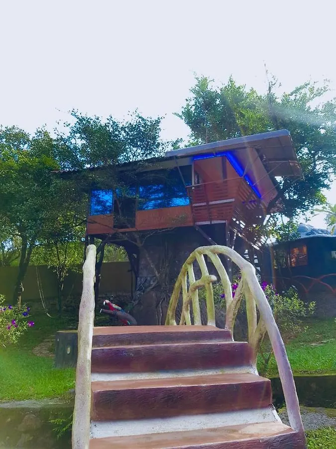 Treehouse Tabor Hills Resort Vagamon Hotel