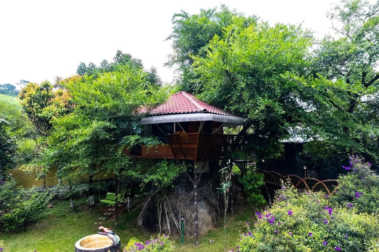 Treehouse Tabor Hills Resort Vagamon